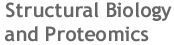 structurehead.gif (1572 bytes)