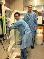Lab cleanup
Spring 2012