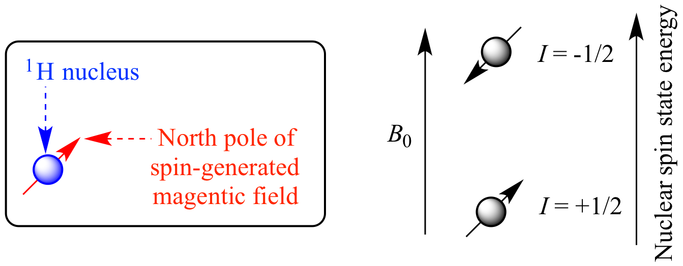 illustrated-glossary-of-organic-chemistry-nuclear-spin-state