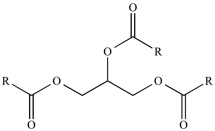 Illustrated Glossary Of Organic Chemistry Triglyceride illustrated-glossary-of-organic-chemistry-triglyceride