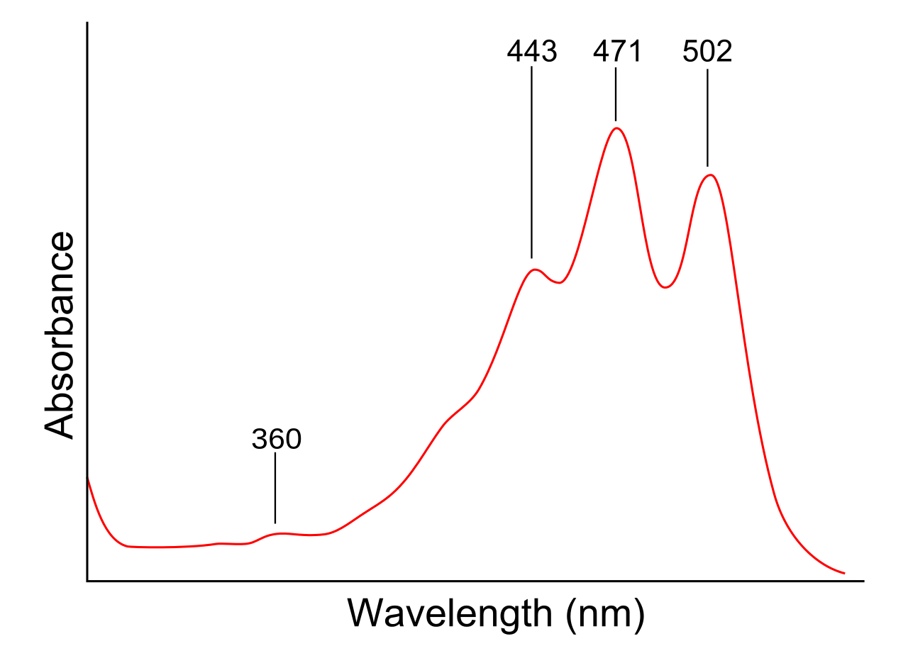 Illustrated Glossary Of Organic Chemistry Lambda Max