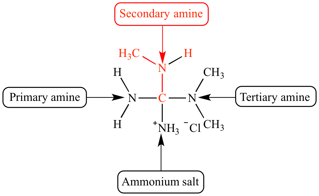 Illustrated Glossary Of Organic Chemistry Secondary Amine Illustrated Glossary Of Organic Chemistry Secondary Amine