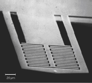 Interdigitated cantilevers (courtesy of S. Manalis)