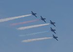 Canadian
                  Snowbirds