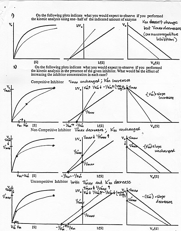 Biochem 153A Week 5 Handout Answers