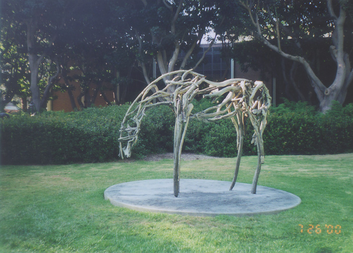 The sculpture garden in UCLA