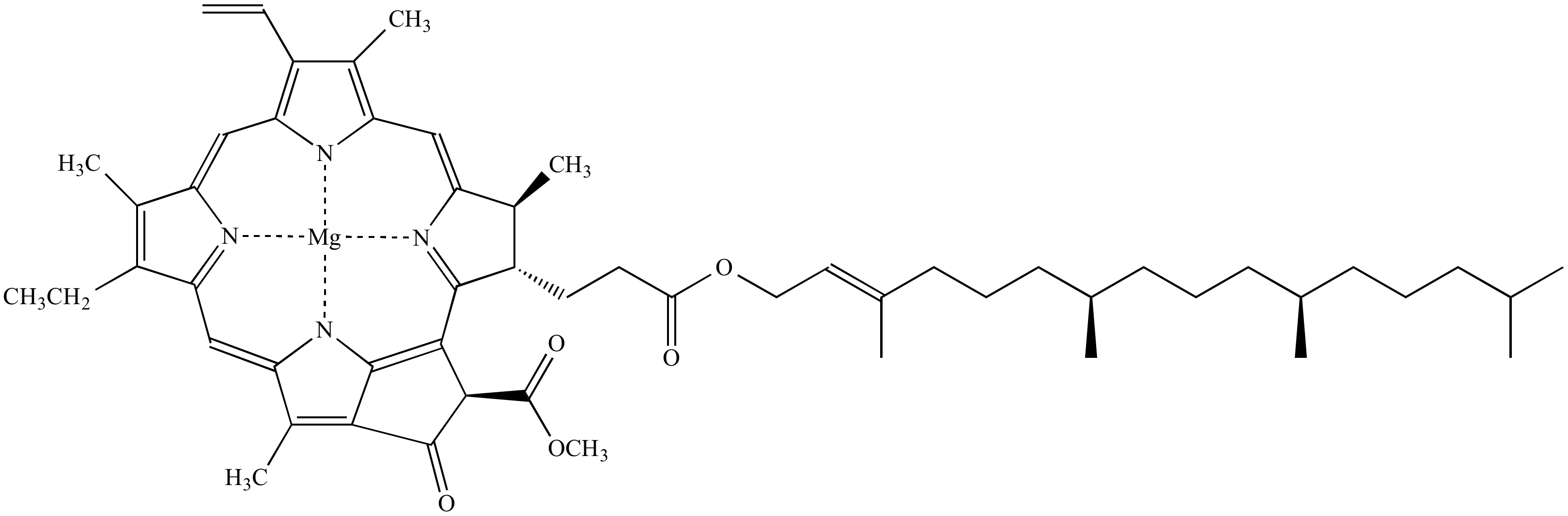 Illustrated Glossary Of Organic Chemistry Chlorophyll
