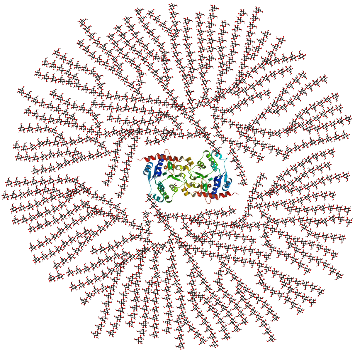 Illustrated Glossary of Organic Chemistry - Glycogen